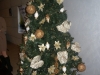 dscn4649